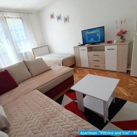Apartman "Plitvice And You" Плитвицька Єзера Екстер'єр фото