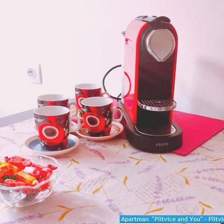 Apartman "Plitvice And You" Плитвицька Єзера Екстер'єр фото